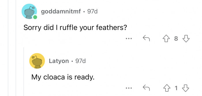 There's nothing better than bird puns.