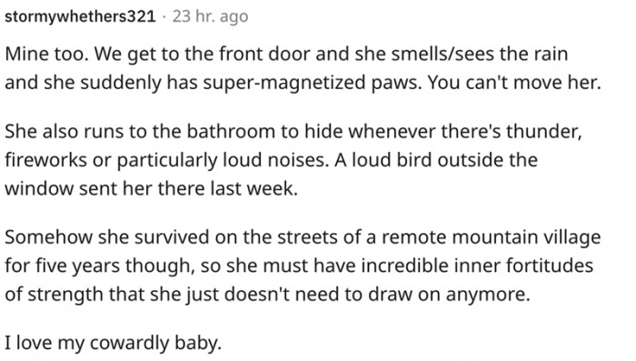 Come on, it's okay to be scared of thunder... Hide, doggo, hide...