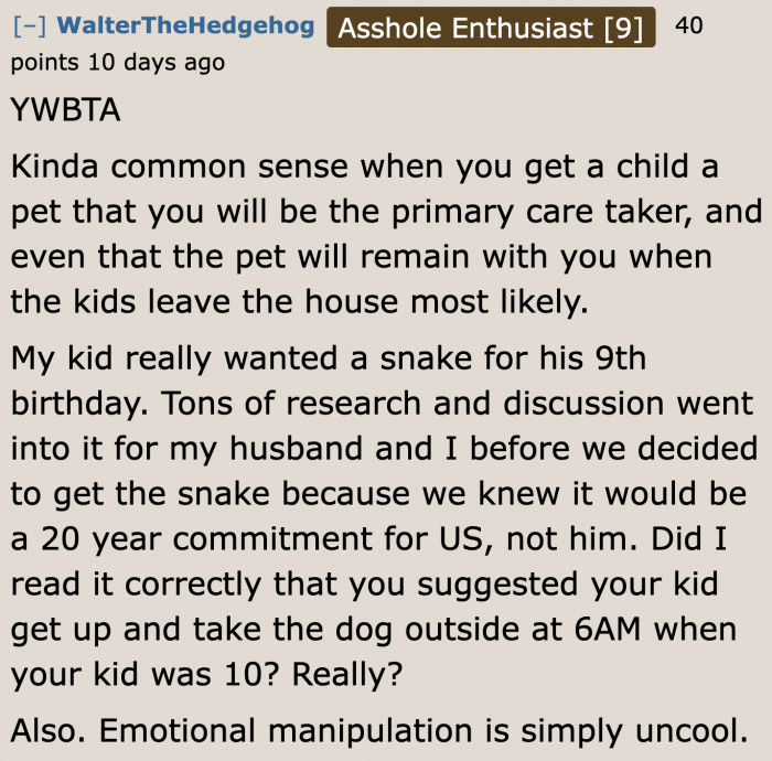 Getting a dog takes great consideration.