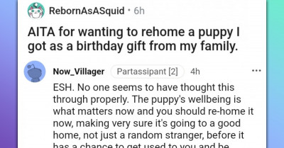 Redditor Gets Roasted For Wanting To Re-Home The Dog He Received As A Birthday Gift From His Family