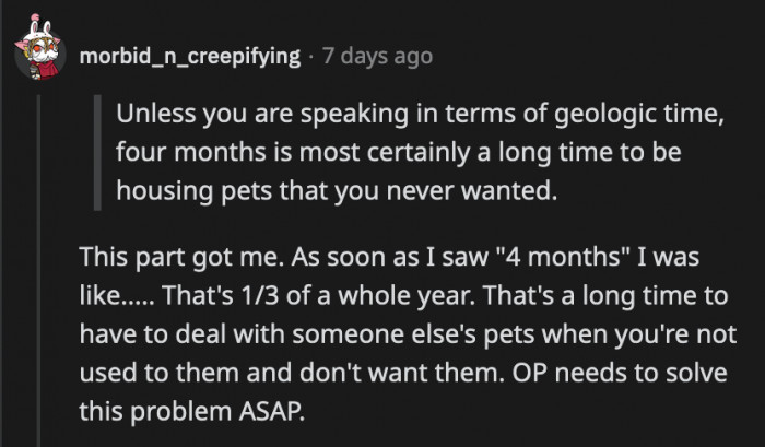 OP has to find a solution before his wife leaves him to deal with the animals by himself