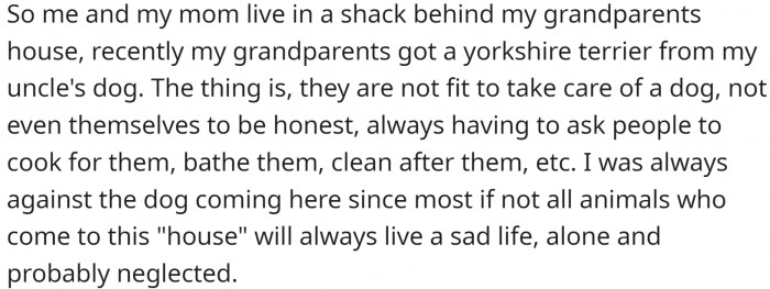 They live with their mom in a small house behind their grandparents' house. Even though the grandparents are unable to take care of themselves, they got a dog.