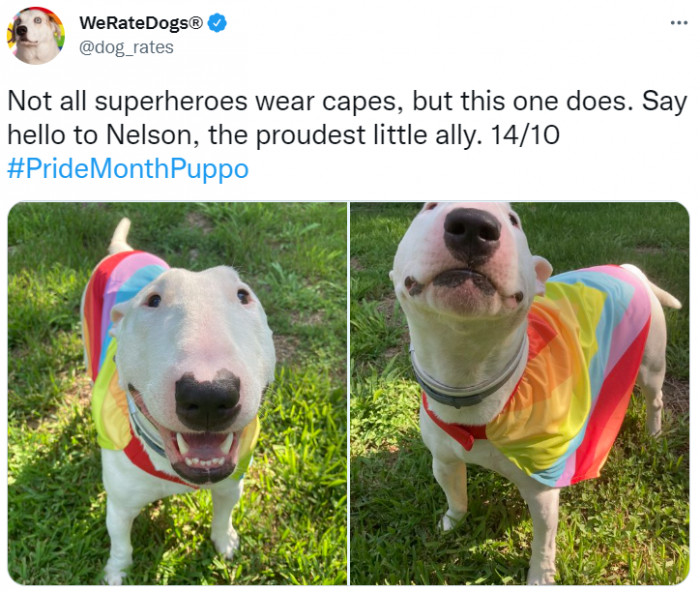 3. Nelson proudly shows his support.