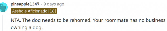 That dog needs a new home