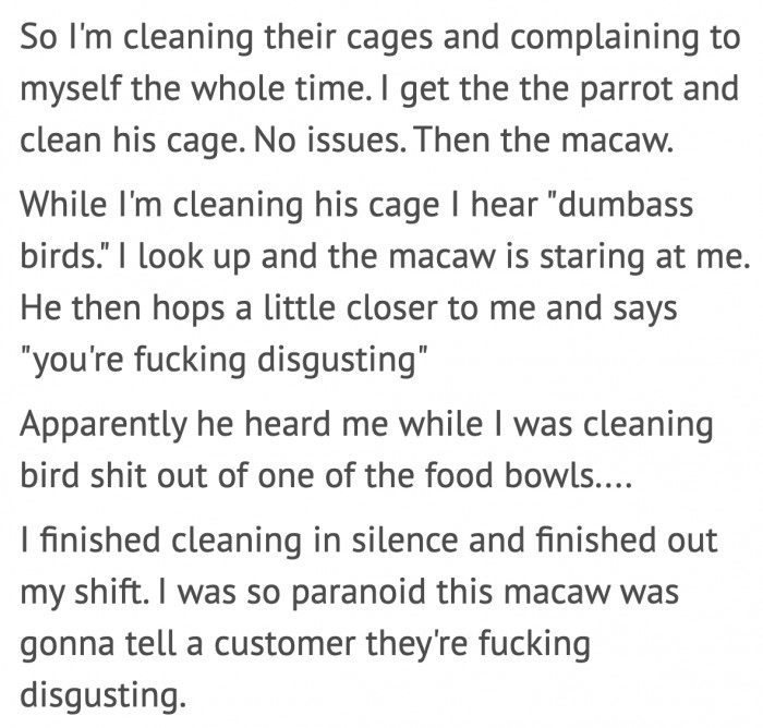 He was cussing as he cleaned the bird cages.
