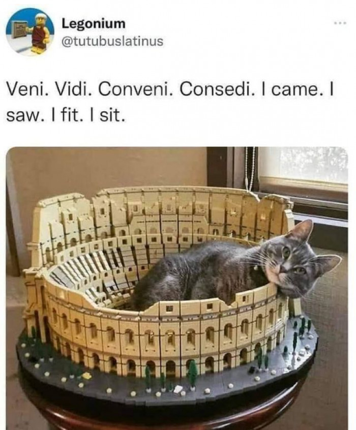 6. Yup, I make sure to occupy wherever fits me.