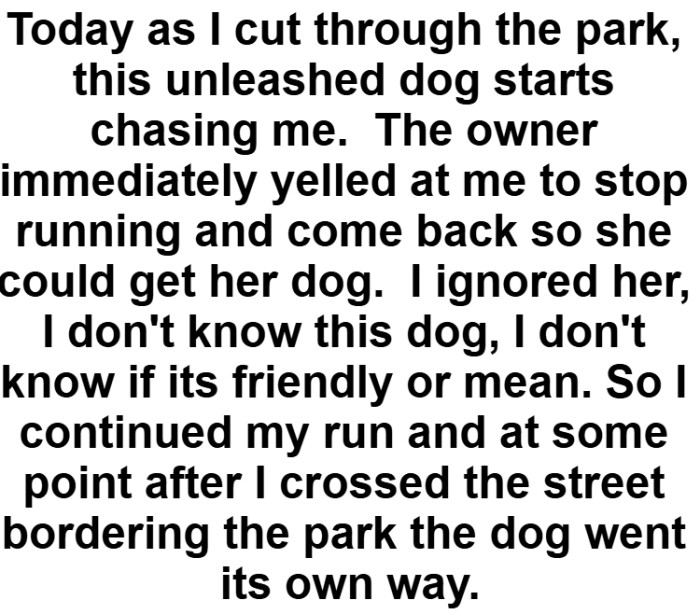 The OP crossed the street bordering the park and the dog went its own way