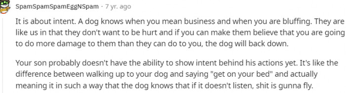 11. A dog knows when you mean business and when you are bluffing