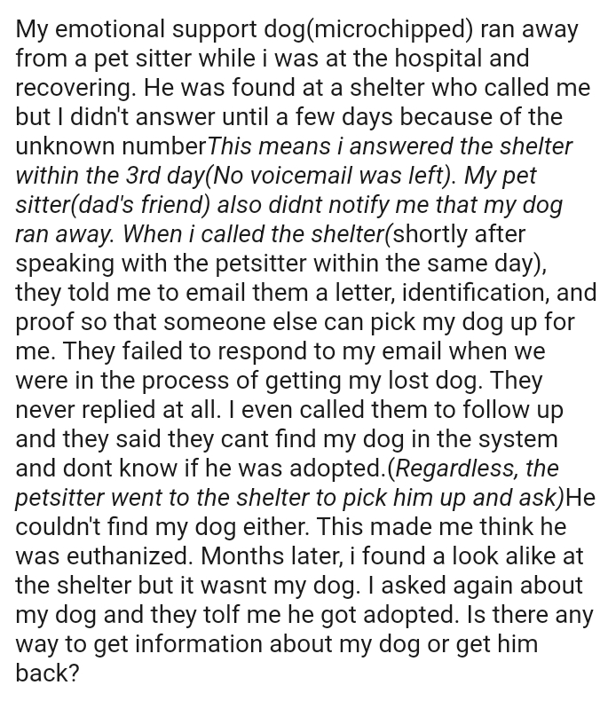 They Failed to Respond to the OP's Email When They Were in the Process of Retrieving Her Lost Dog