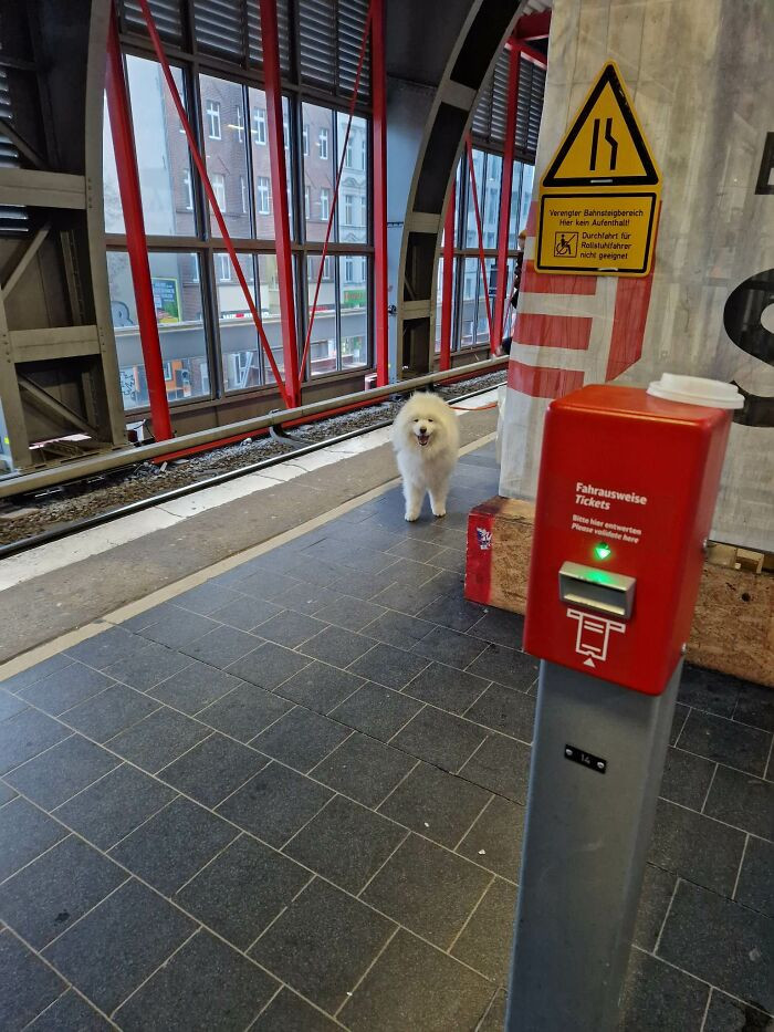 34. There's Nothing Better Then A Happy Cloud On Your Way To Work. (Sorry If It's Unrelated As Only Dogs Are Allowed Here...)