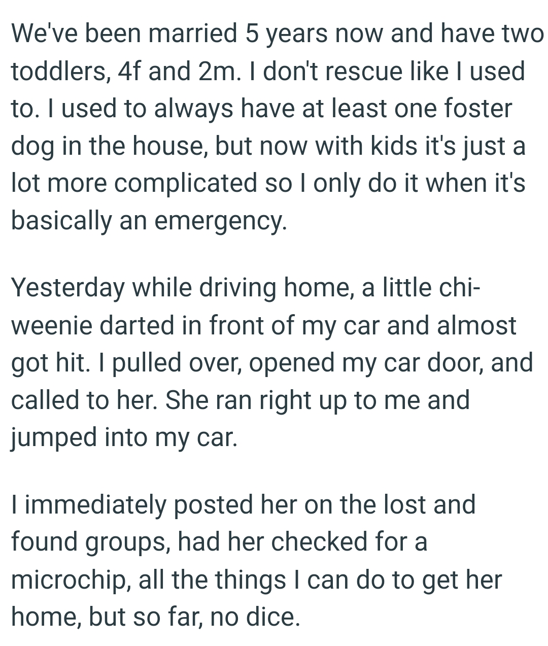 The dog ran right up to the OP and jumped into her car