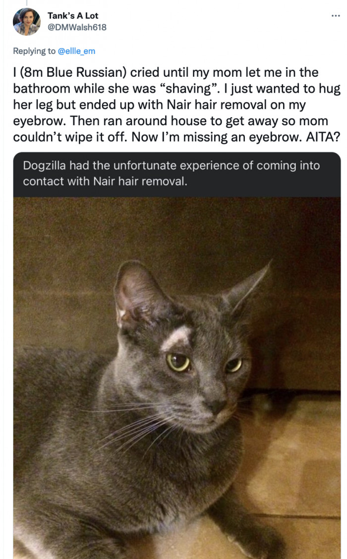 Probably NTA, but now he’s one eyebrow less and lived to tell the tale…through his roommate