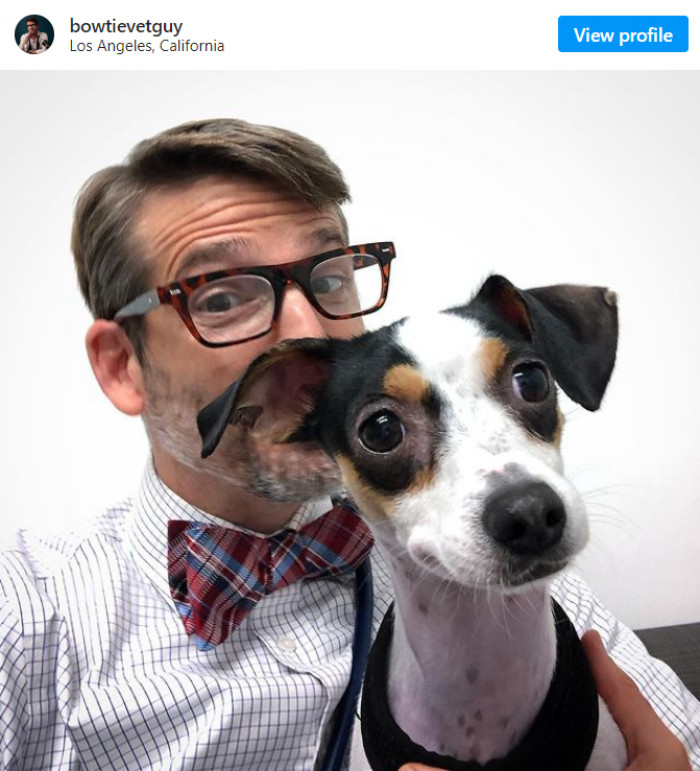 5. This Bowtie Vet Guy, Dr. Mike McClenahan. The doggos love him.