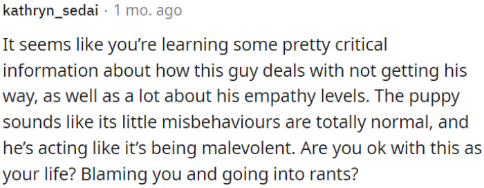 OP's fiancé is overreacting to minor puppy misbehavior.