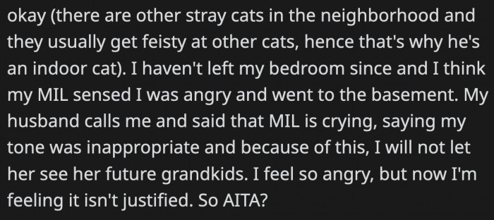 Her husband called, telling her how her MIL cried, thinking this was what would push OP to actually not let them see their future grandkids