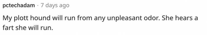 4. "I'm not going to sit around and let you kill me with fart."