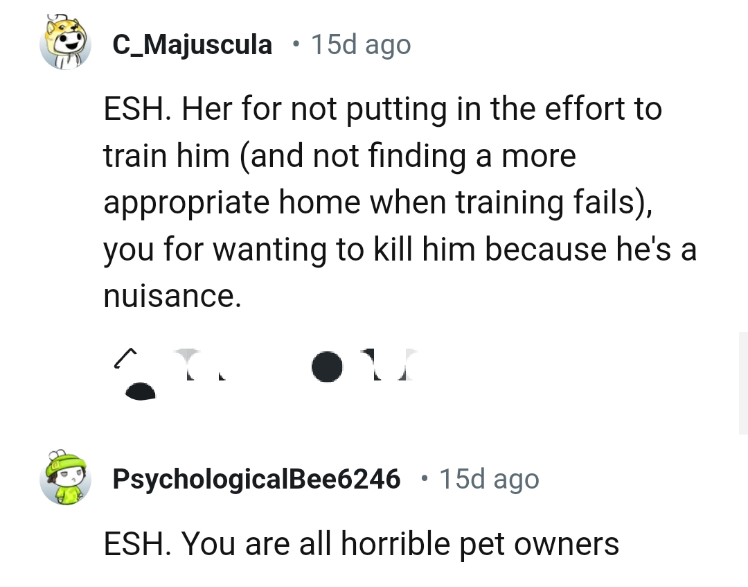 They could have put in more effort