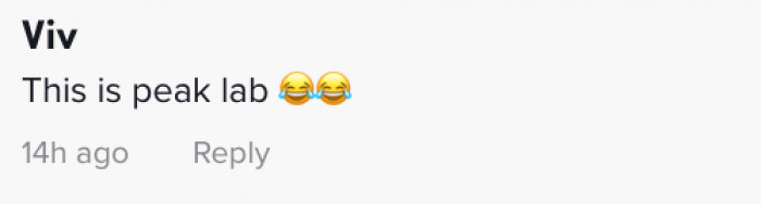 Honey Bear the Labrador stays in the lake, swimming away from dad