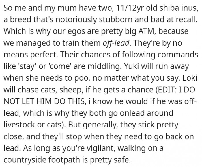 OP has got the dogs trained somewhat to further enrich their walks