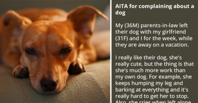 Redditor Slammed For Complaining About Barking Dog