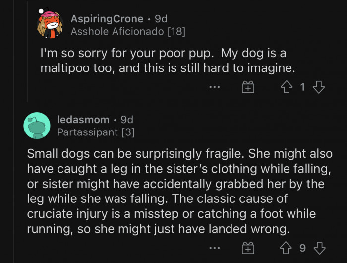 Small dogs are surprisingly fragile.