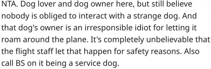 8. People shouldn't be forced to interact with strange dogs.