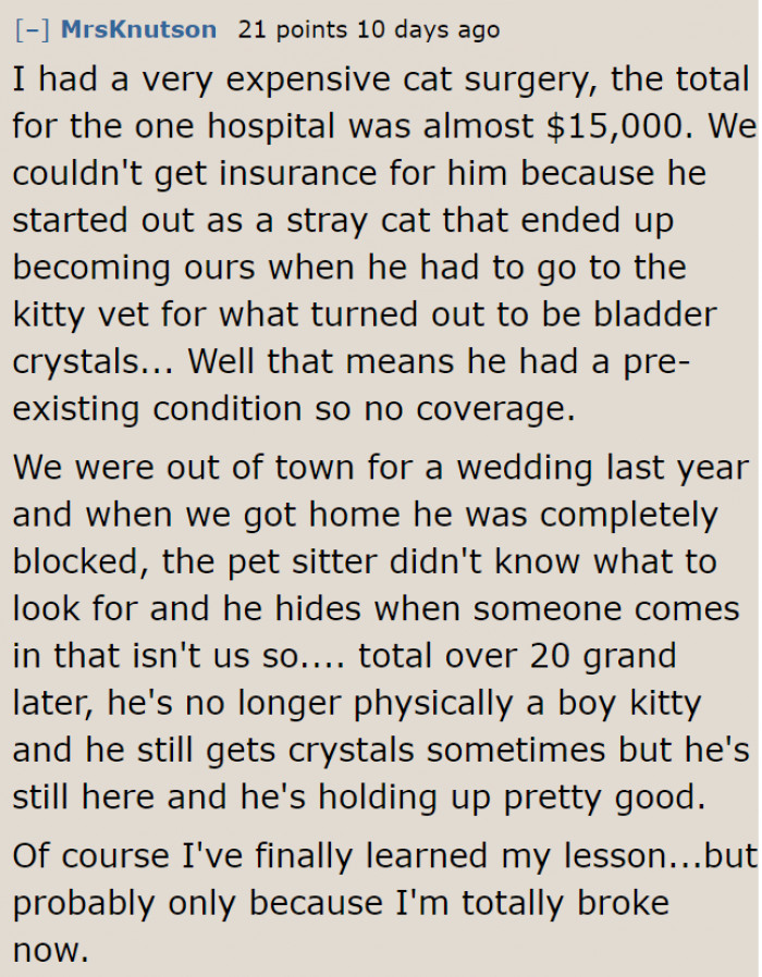A Redditor shares her actual expenses when her cat got hospitalized.
