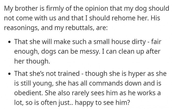 OP's brother thinks she should leave her puppy behind for various reasons.