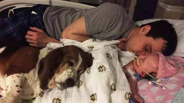 In Nora’s 5 short months, she had won the hearts of her two dogs, Basset Hounds Gracie and Grumpy