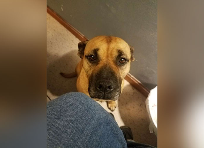 River’s first night at home.