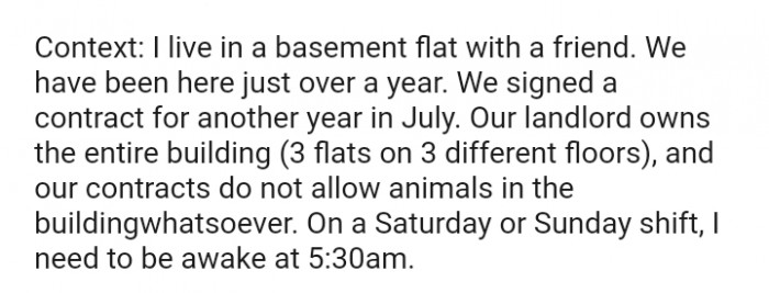 The OP Lives in a Basement Flat with a Friend