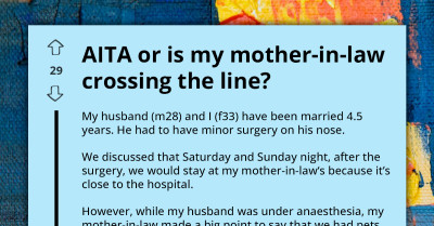 Mother-In-Law Makes It Hard For Cat Mom To Take Care Of Her Recovering Husband, Gets Called Out For Crossing The Line