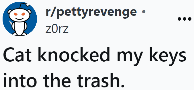The OP had a brilliant idea for petty revenge after her cat knocked her keys into the trash.