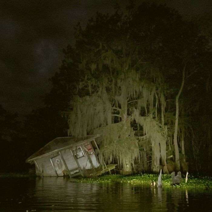 3. Louisiana, Untouched Since Katrina