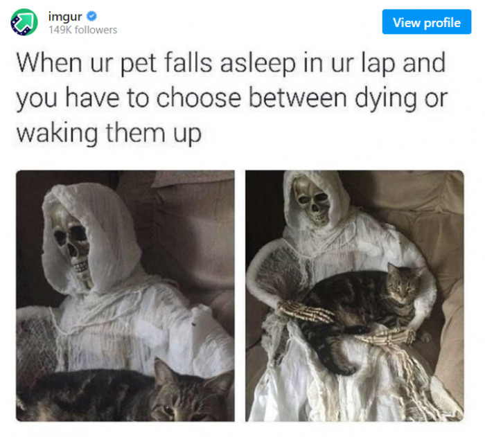 20. Which one should you choose?