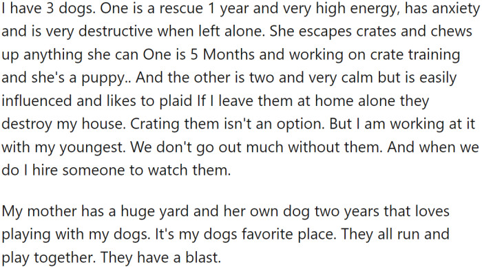 OP has three dogs, one of which is a rescue with high energy, anxiety, and a tendency to be destructive when left alone.