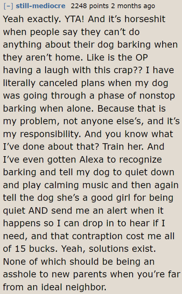 The parents are trying to deal with their newborn. She needs to deal with her barking dogs too.