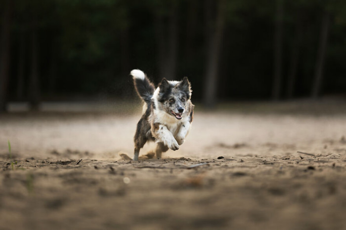 23. Stay alert; we have an incoming...