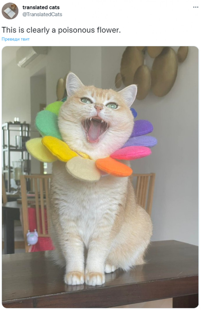 19. Gorgeous, just gorgeous.