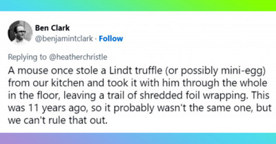People Share Times They Caught Rodents Munching Their Human Food