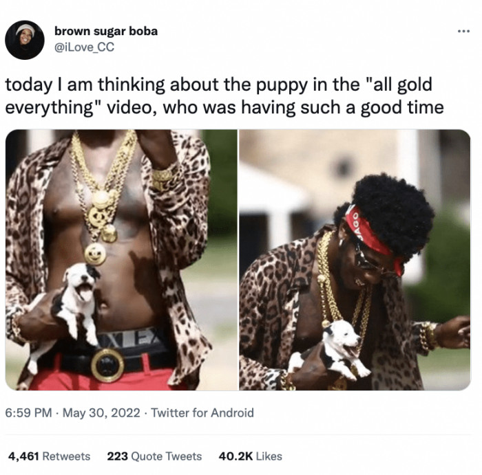 1. Everything may be all gold, but there’s nothing more golden than this pup’s reaction.