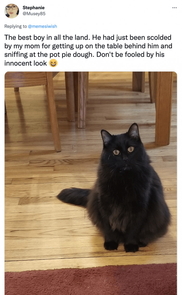 10. The "What did I do?" look.