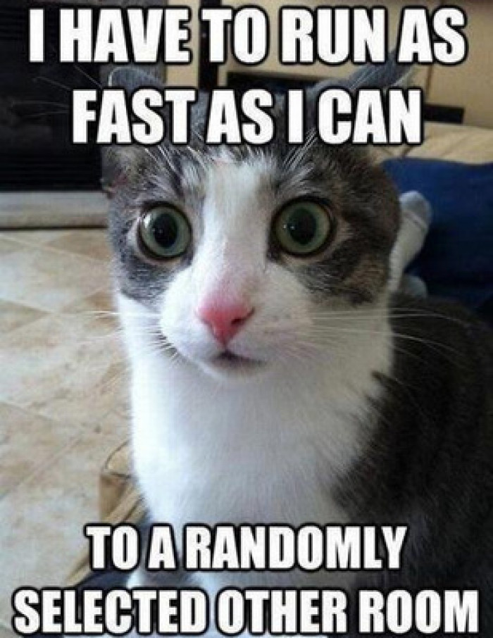 11. “I can’t explain, but I feel like something much better is about to happen in the other room.”