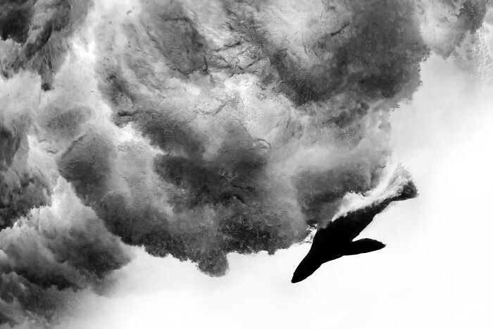 Black & White, 3rd Place: Power And Pace By David Alpert