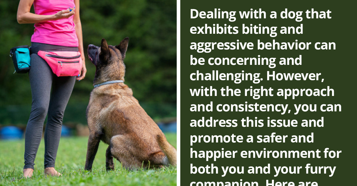 Concerned Dog Lovers Share Their Ways To Stop Biting And Aggressive Behavior In Canines