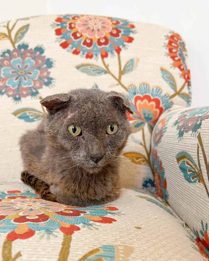 Buddy was finally safe