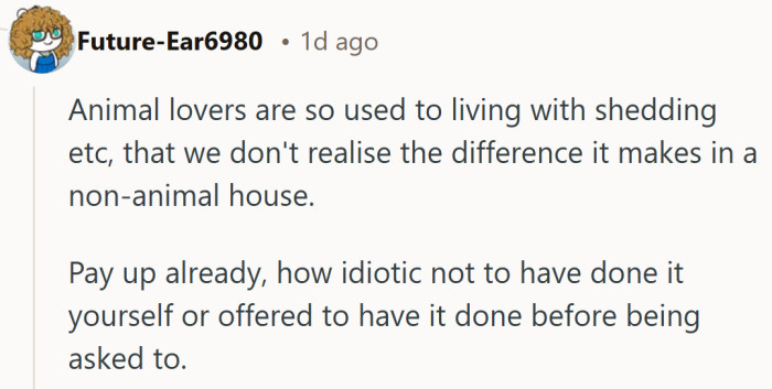 Living with pets can make fur feel invisible, but a non animal home notices every strand.