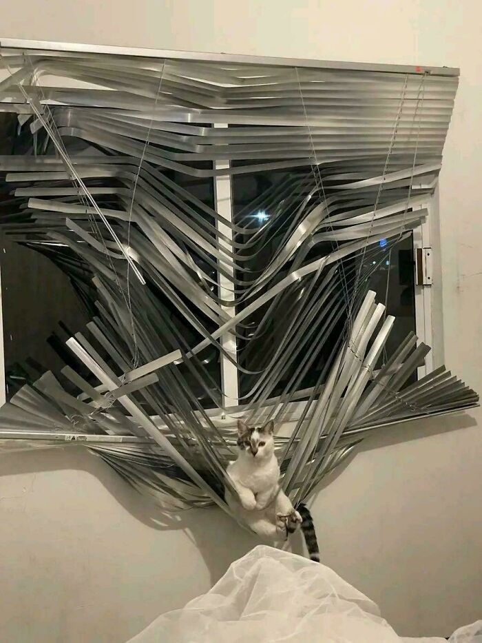 "There Goes The Blind"