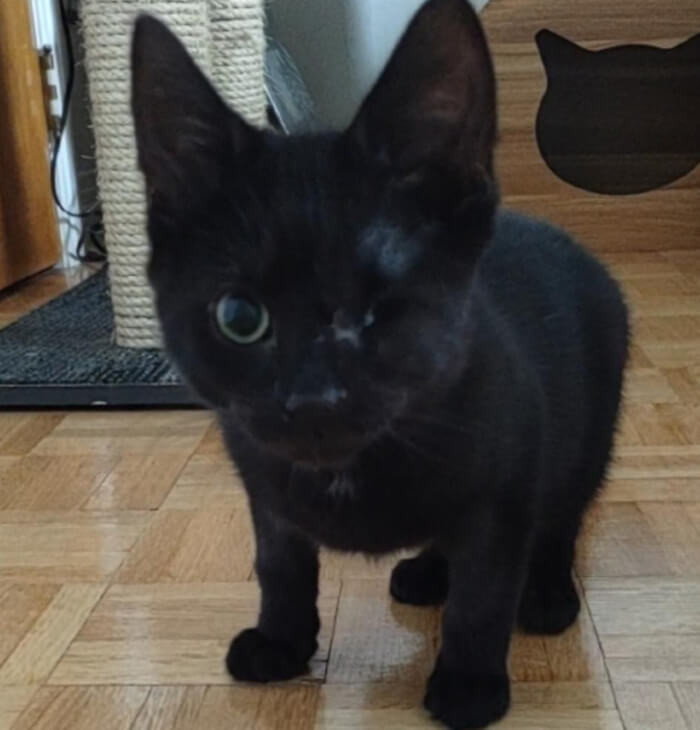 8. “My new guy needs a name.”