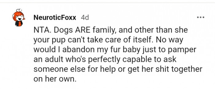 No way this Redditor is abandoning the fur baby